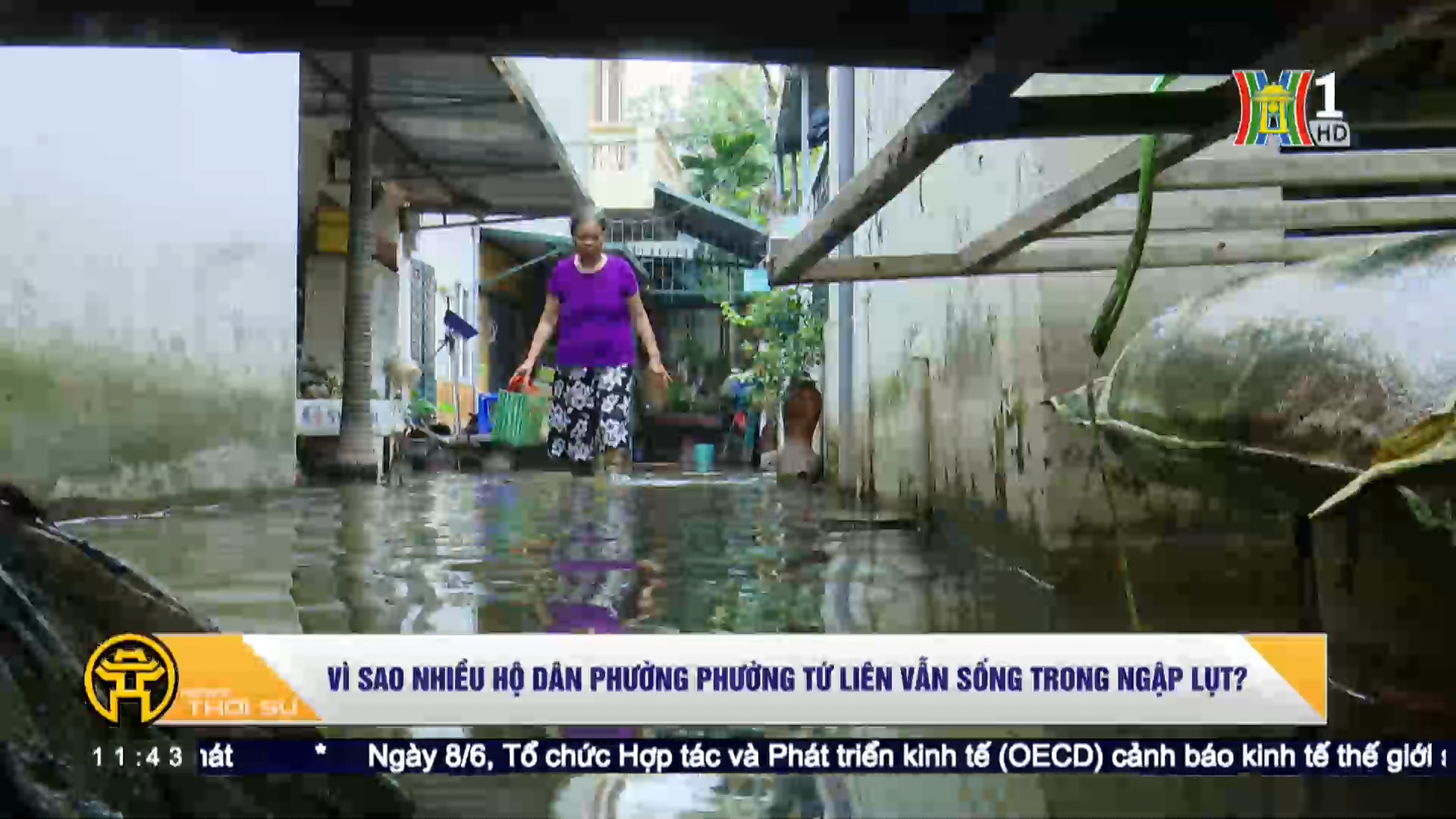 Vì sao nhiều hộ dân phường Tứ Liên vẫn sống trong ngập lụt