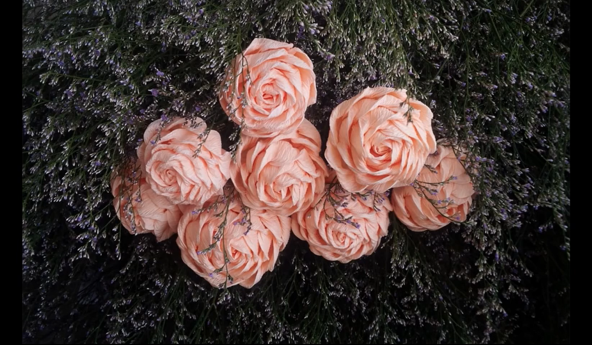 Xem Phim Hướng dẫn làm hoa hồng xoắn bằng giấy nhún đơn giản đẹp lung linh